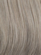 RL119 Silver & Smoke | Light Brown with 80% Gray in front  gradually blended into 50% Gray in nape area