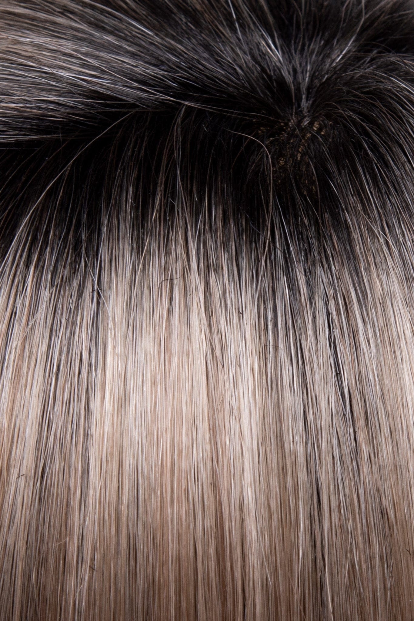 Golden Sandstone | 41 R2 | Rooted Cool Medium Blonde