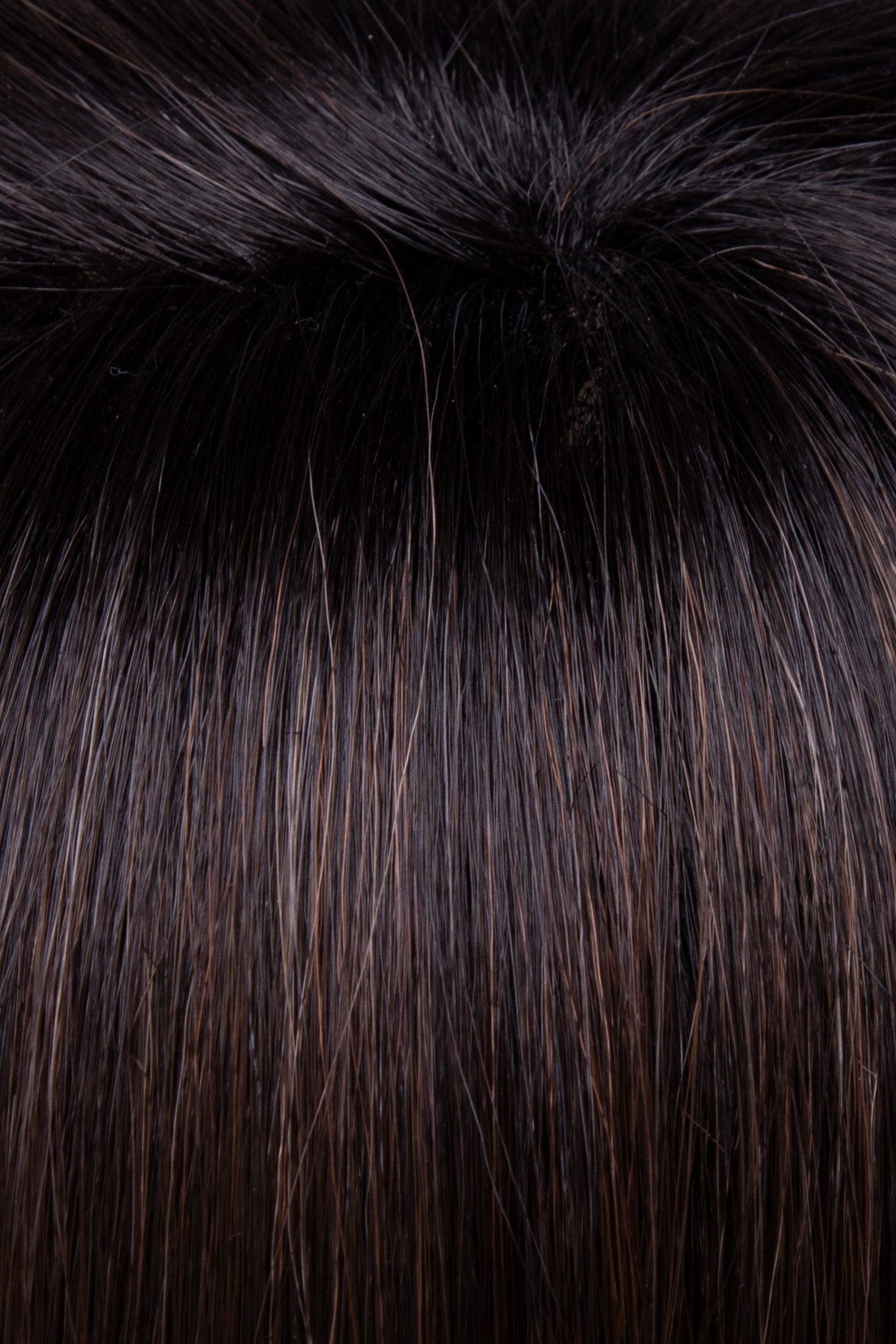 Espresso | 10 R2 | Rooted Cool Brunette