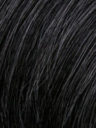 Dignified Men's Wig by HIM | Heat Friendly Synthetic Hair | Average/Large Cap - Wig Studio 1