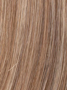 LIGHT BERNSTEIN MIX 12.26.27 | Lightest Brown, Light Golden Blonde, and Dark Strawberry Blonde Blend
