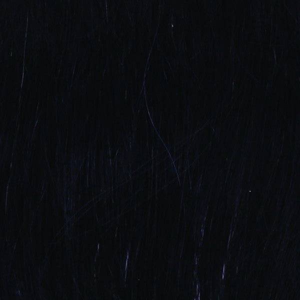 Open Box | Sparkle Elite Synthetic Lace Front Wig by Raquel Welch | R9S+ Glazed Mahogany - Wig Studio 1