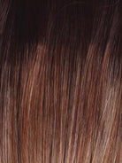 Winner Premium by Raquel Welch | Synthetic Lace Front Wig | Mono Crown - Wig Studio 1