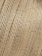 16/613T Dark Ash Blonde Blended with Bleach Blonde Blonde tips