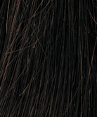 Raquel Welch Wigs | R1HH Black