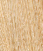 Raquel Welch Wigs | R9HH Light Golden Blonde