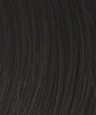 Raquel Welch Wigs | R4 Midnight Brown