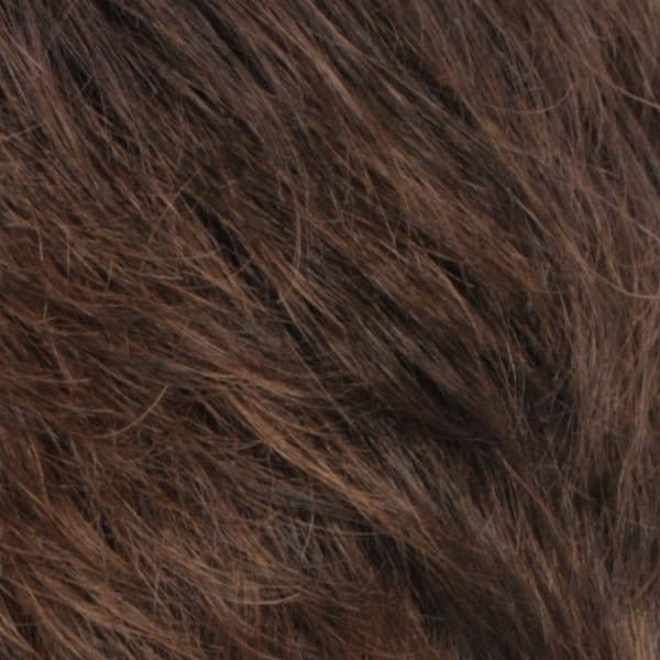 R6/27H | Chestnut Brown with Light Auburn Highlights