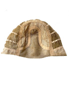 Blair Synthetic Lace Front Wig by Rene of Paris | Mono Part - Wig Studio 1