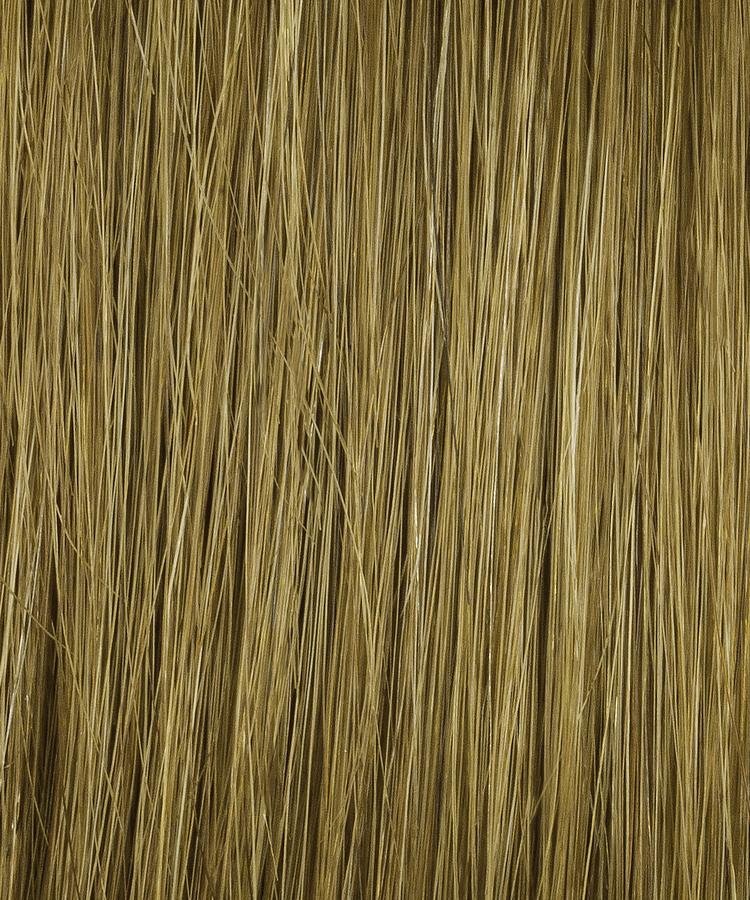 Bravo by Raquel Welch | Lace Front Human Hair Wig | Hand Tied - Wig Studio 1