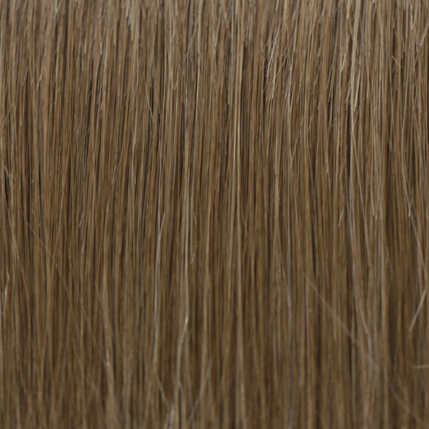 10R | Medium Light Brown