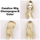Candice Large | Synthetic Wig by Godiva Secret Wigs | Basic Cap - Wig Studio 1