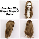 Candice Synthetic Wig by Godiva Secret Wigs | Basic Cap - Wig Studio 1