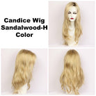 Candice Synthetic Wig by Godiva Secret Wigs | Basic Cap - Wig Studio 1