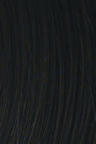 Center Stage by Raquel Welch | Synthetic Lace Front Wig | Hand Tied - Wig Studio 1