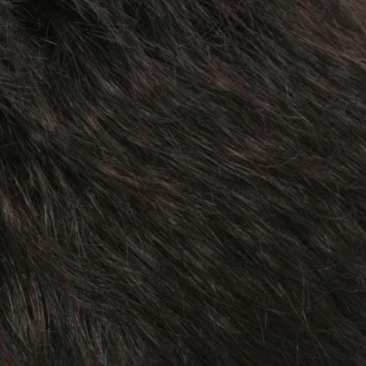 R2/4 | Darkest Brown Blended With Dark Brown