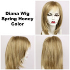 Diana Synthetic Lace Front Wig by Godiva Secret Wigs - Wig Studio 1