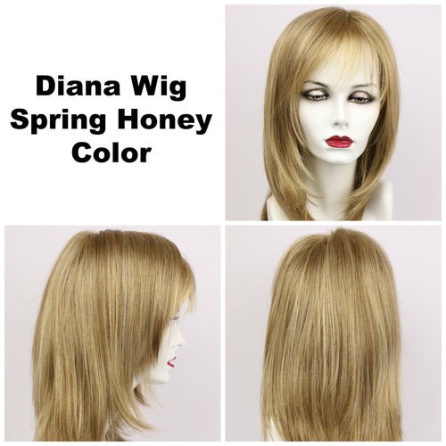 Diana Synthetic Lace Front Wig by Godiva Secret Wigs - Wig Studio 1