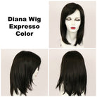 Diana Synthetic Lace Front Wig by Godiva Secret Wigs - Wig Studio 1