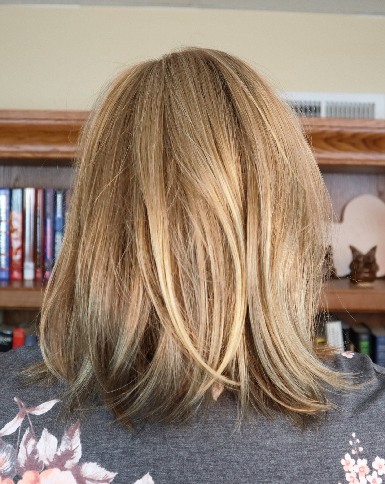 Emilia by Jon Renau | Synthetic Lace Front Wig | Mono Top - Wig Studio 1