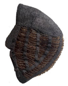 Fenix Synthetic Wig by Rene of Paris | Basic Cap - Wig Studio 1