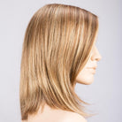 Light Bernstein Rooted