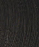 Gilded 12" by Raquel Welch | Human Hair Top Piece | Mono Top - Wig Studio 1