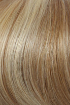 Grand Entrance by Raquel Welch | Lace Front Human Hair Wig | Mono Top - Wig Studio 1