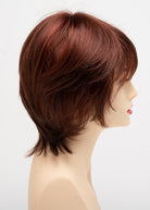 Jane by Envy | Synthetic Lace Front Wig | Mono Top - Wig Studio 1