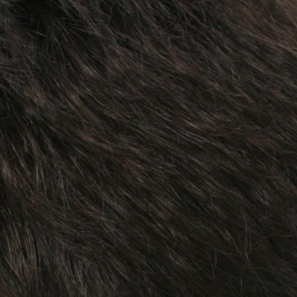 R2/4 | Darkest Brown Blended With Dark Brown
