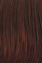 Limelight by Raquel Welch | HF Synthetic Lace Front Wig | Mono Top - Wig Studio 1