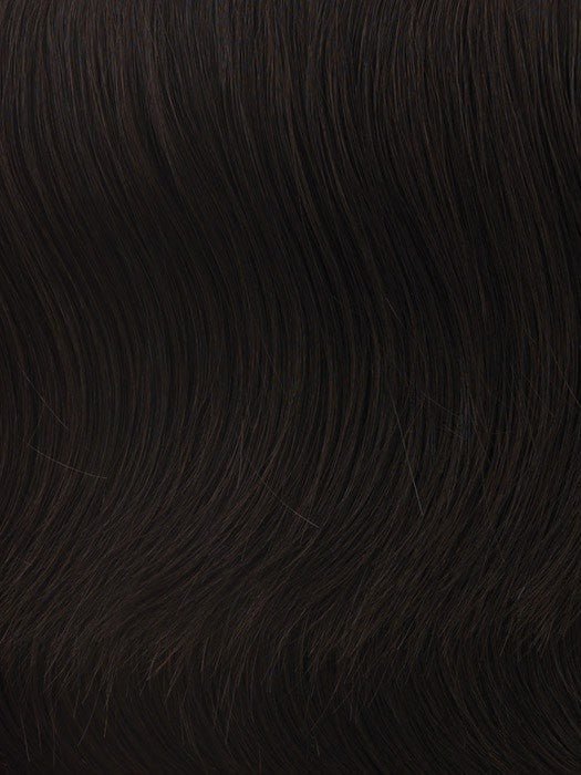 Long with Layers | HF Synthetic Wig | Basic Cap - Wig Studio 1