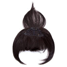 Modern Fringe Clip in Bangs by Hairdo - Wig Studio 1
