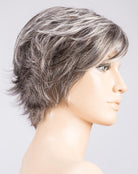 Raise by Ellen Wille | Synthetic Lace Front Wig | Mono Crown - Wig Studio 1