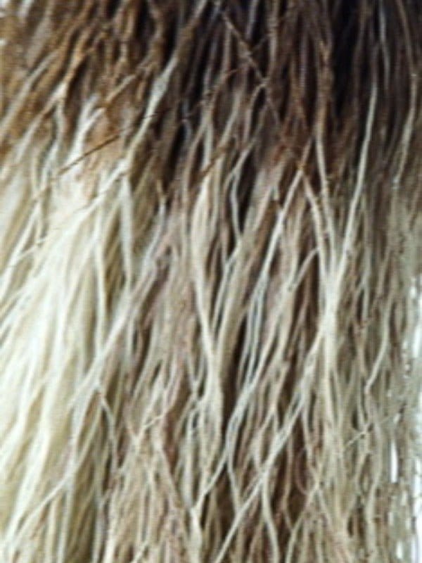 MOCHA H | Rooted Dark with Medium Ash Blonde with Platinum Blonde highlight