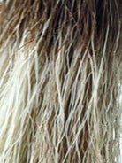 Reese Synthetic Wig by Noriko | Basic Cap - Wig Studio 1