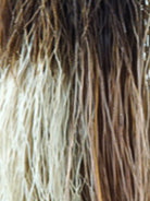 Reese Synthetic Wig by Noriko | Basic Cap - Wig Studio 1