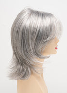 Rose by Envy | Synthetic Lace Front Wig | Mono Top - Wig Studio 1