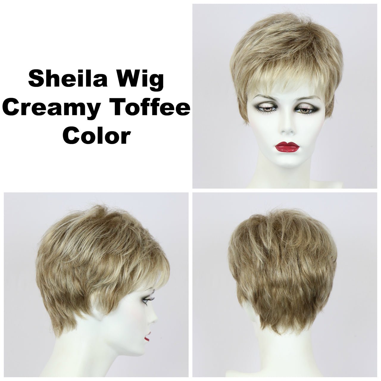 Sheila Large | Synthetic Wig by Godiva Secret Wigs | Basic Cap - Wig Studio 1