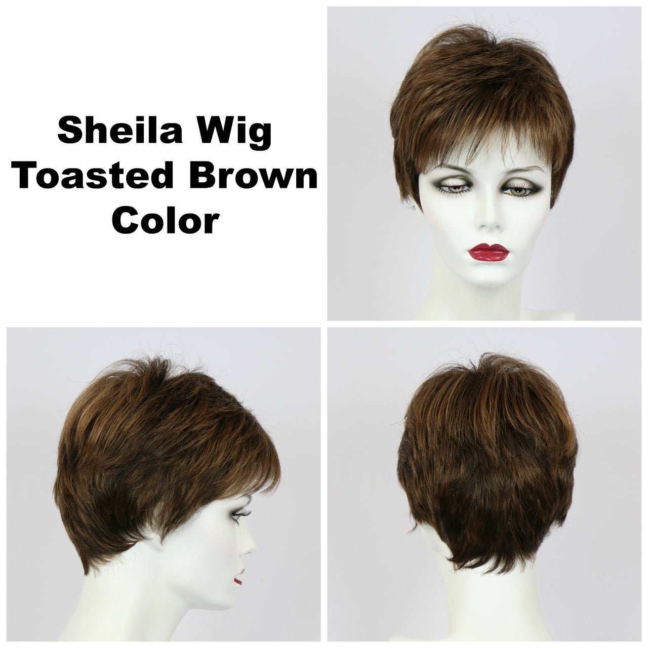 Sheila Petite | Synthetic Wig by Godiva Secret Wigs | Basic Cap - Wig Studio 1