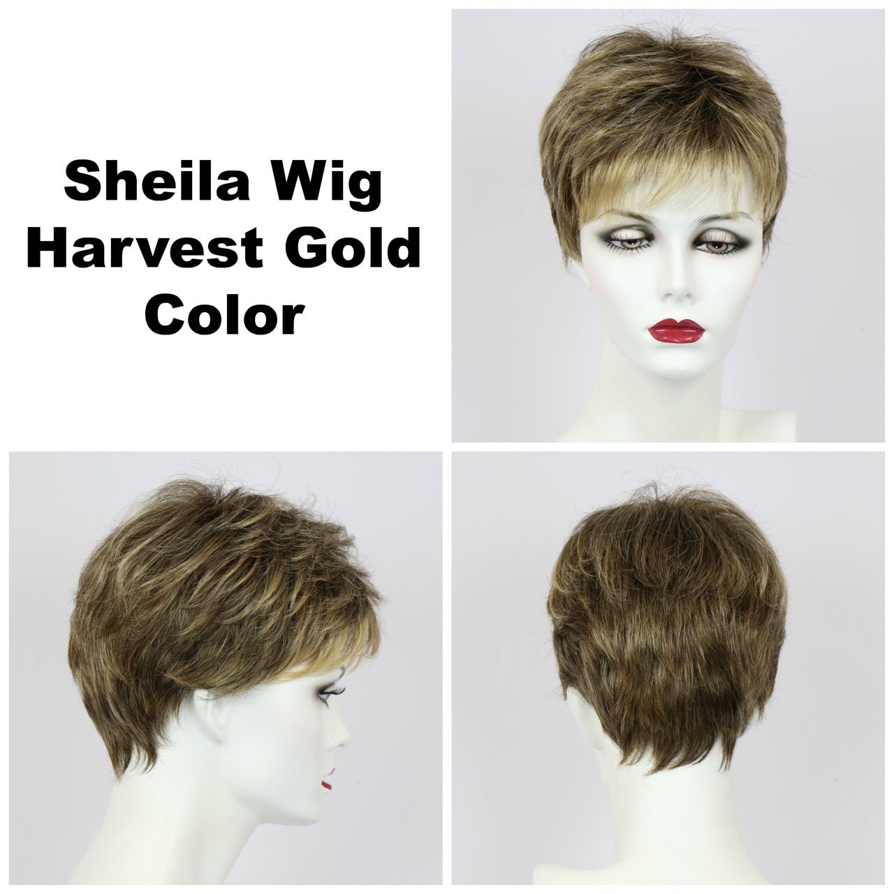 Sheila Synthetic Wig by Godiva Secret Wigs | Basic Cap - Wig Studio 1