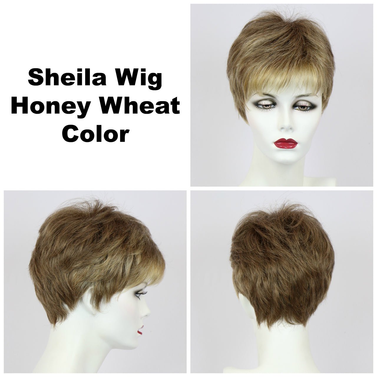 Sheila Synthetic Wig by Godiva Secret Wigs | Basic Cap - Wig Studio 1