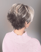 Sky by Ellen Wille | Synthetic Wig | Mono Crown - Wig Studio 1