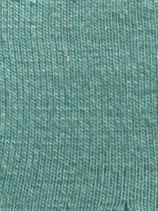 Blue Sage