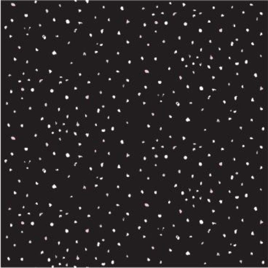 Dark Sky