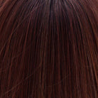 Vienna Roast by Belle Tress | HF Synthetic Lace Front Wig | Mono Part - Wig Studio 1