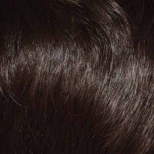 06/33 | Medium Chestnut Brown tipped w/ Dark Auburn