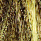 Voltage Petite by Raquel Welch| Synthetic Wig | Basic Cap - Wig Studio 1