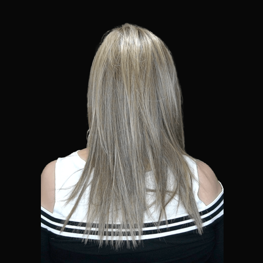 Well Played by Raquel Welch | HF Synthetic Lace Front Wig | Mono Part - Wig Studio 1